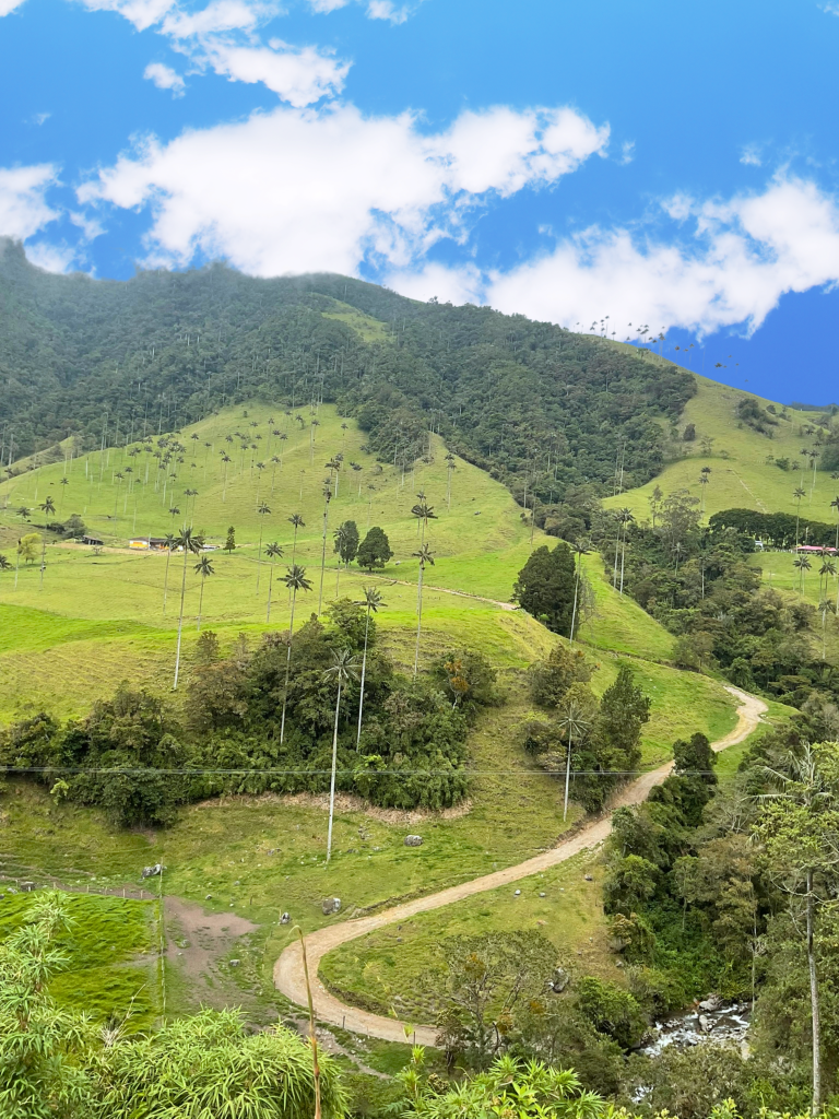 El paisaje combina montañas cubiertas de neblina, ríos de agua fría, suelos húmedos y cambios climáticos rápidos.