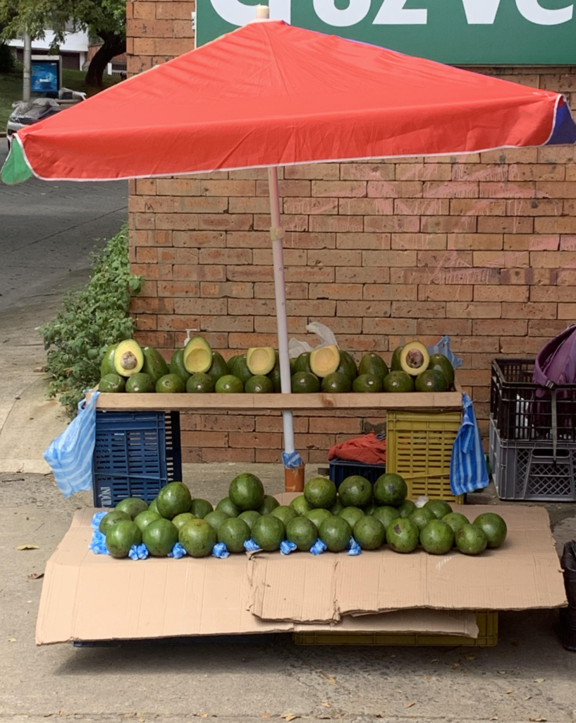 Aguacates que se venden en todas las esquinas de Cali.